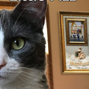 Foogazoo - Little Fizz